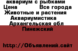 аквариум с рыбками › Цена ­ 1 000 - Все города Животные и растения » Аквариумистика   . Архангельская обл.,Пинежский 